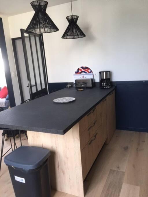 3p 70m2, Vue Mer, Et Port De Lomener Apartment